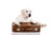 Pet Transport UK to Spain – 9th September 2025